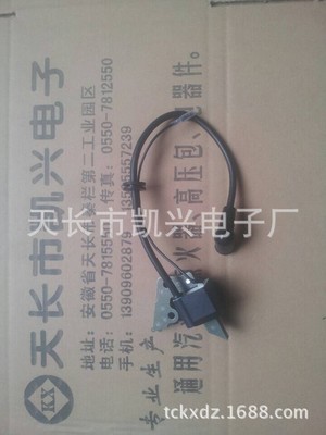 Kai Hing Electronics Universal gasoline engine High pressure bag Robin 167F ( EY20 )