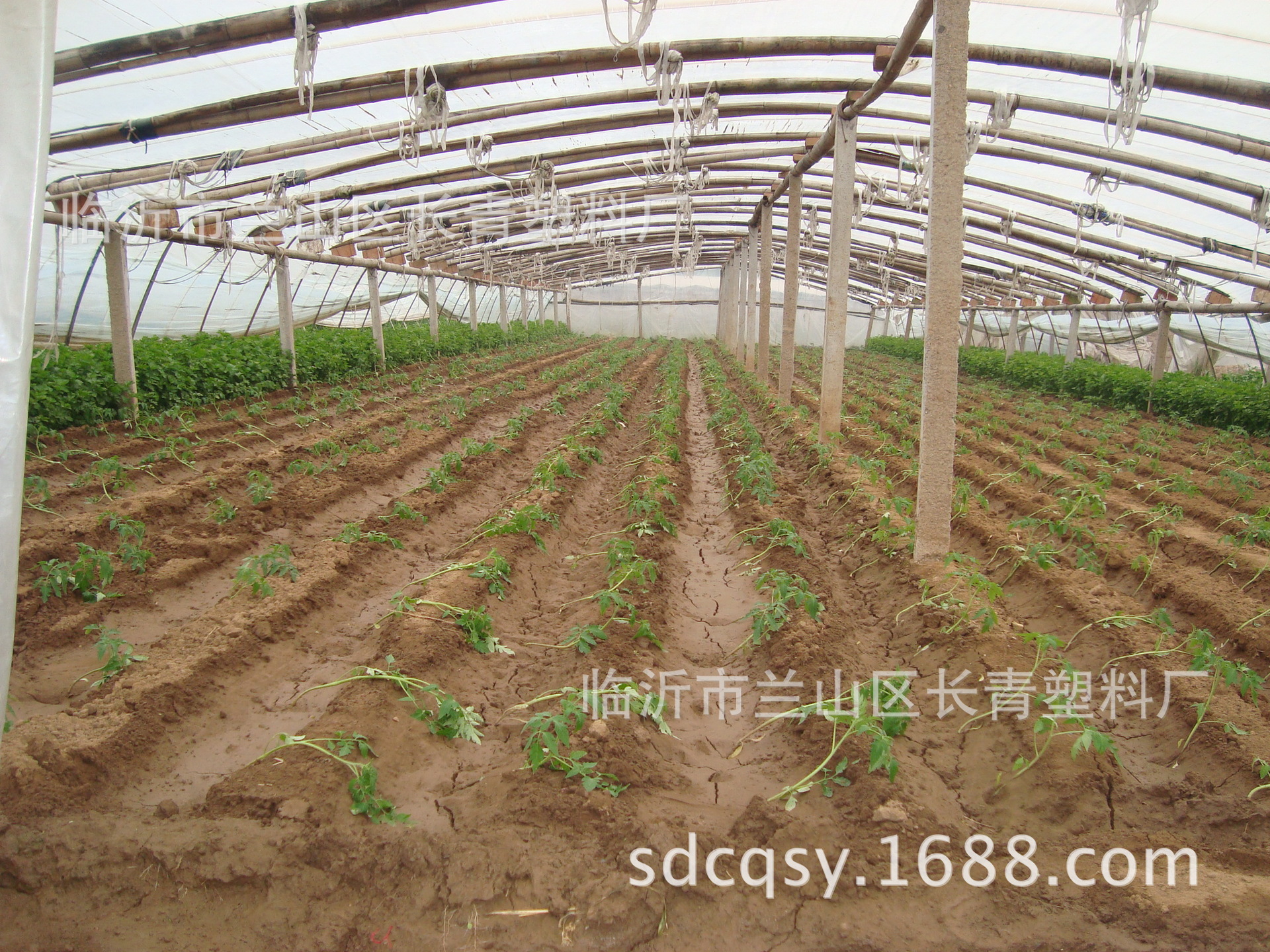 蔬菜大棚无滴膜