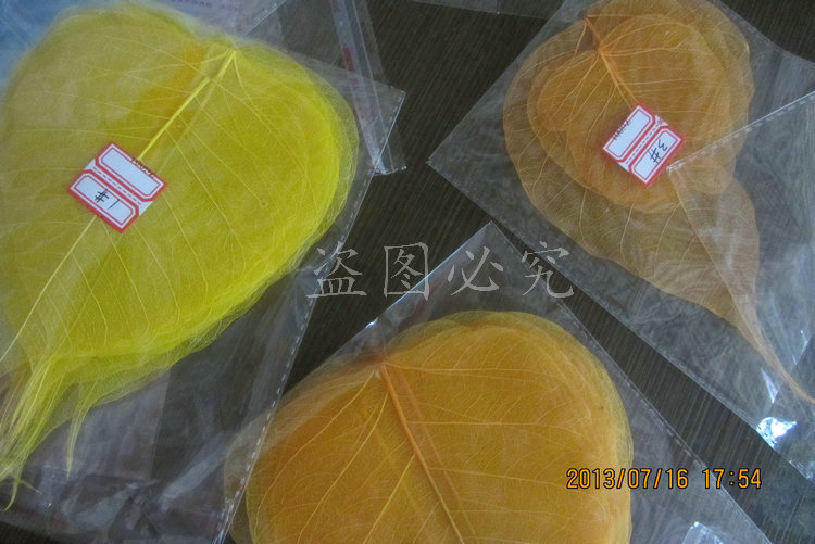 A001菩提叶脉 (1)