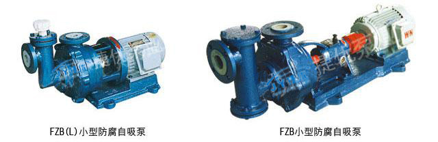 耐腐蚀自吸泵 自吸泵厂家防腐电动自吸泵