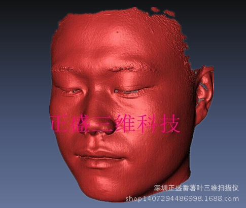 人像
