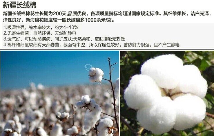 棉花產地 圖 3