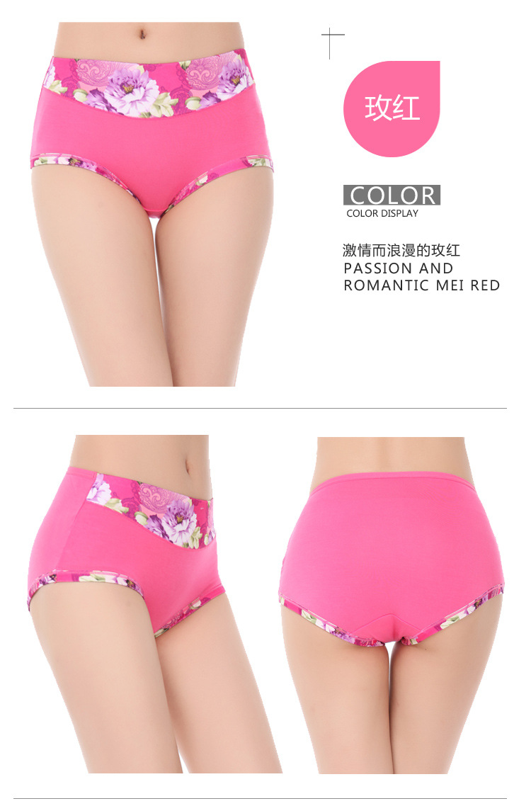 Slip jeunesse en coton - Ref 651448 Image 15
