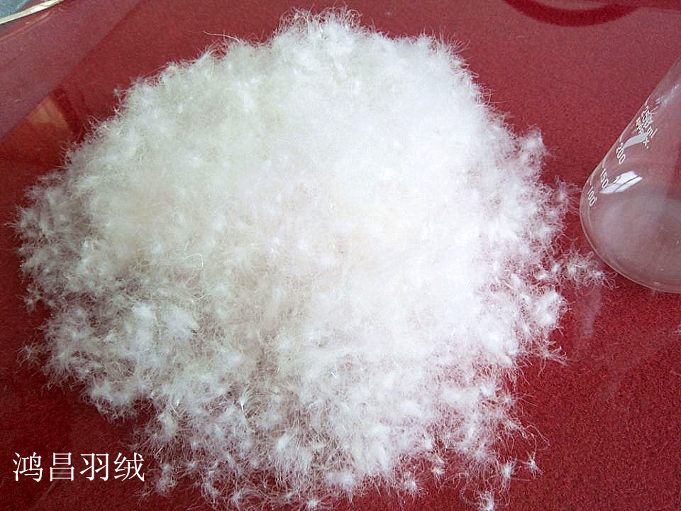 水洗羽绒加工：从传统到现代的转型之旅
