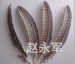 T1eLKxXxhgXXXXXXXX_!!0-item_pi