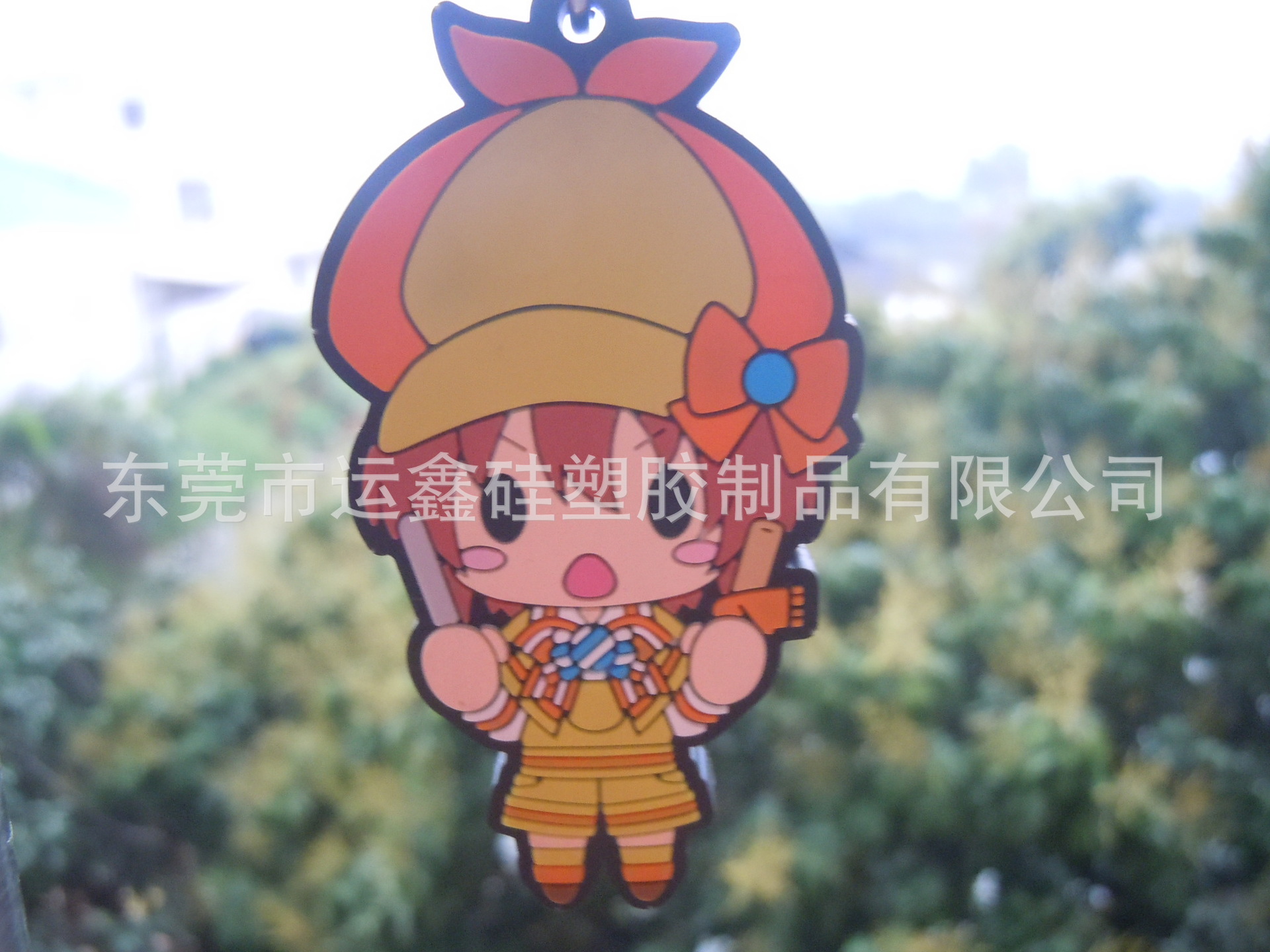 DSCN5421