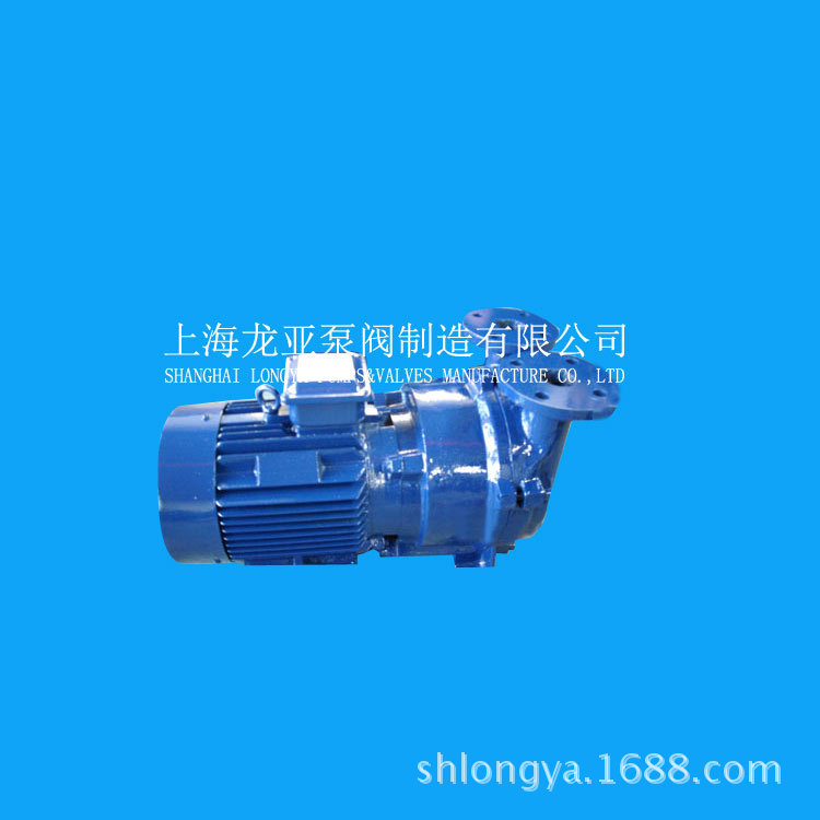 供应上海2BVA5121户外型真空泵 龙亚2BVA-5110防爆真空泵