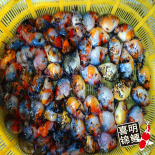 ��Ʒ���a�m�۽��~���l���ۼt���m�۽��~���w��ˮ�~��Ҏ����~���l