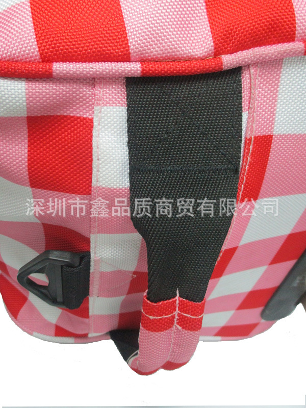 XPZ-L01紅格拉桿箱-4