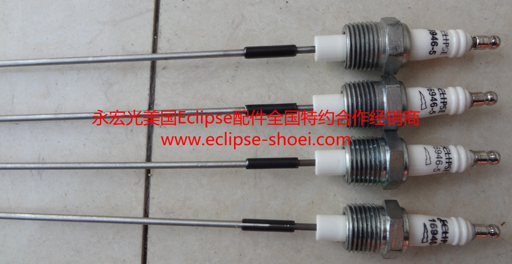 天时点火棒100049-1,天时RM燃烧器专用点火棒100049-1