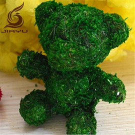 植物工艺品;工艺品加工;蕨类植物