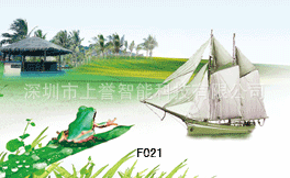 与 PP生产 印刷 变幻卡片 3D立体名片pet