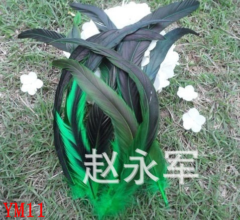 T2FDCAXmtXXXXXXXXX_!!159697808