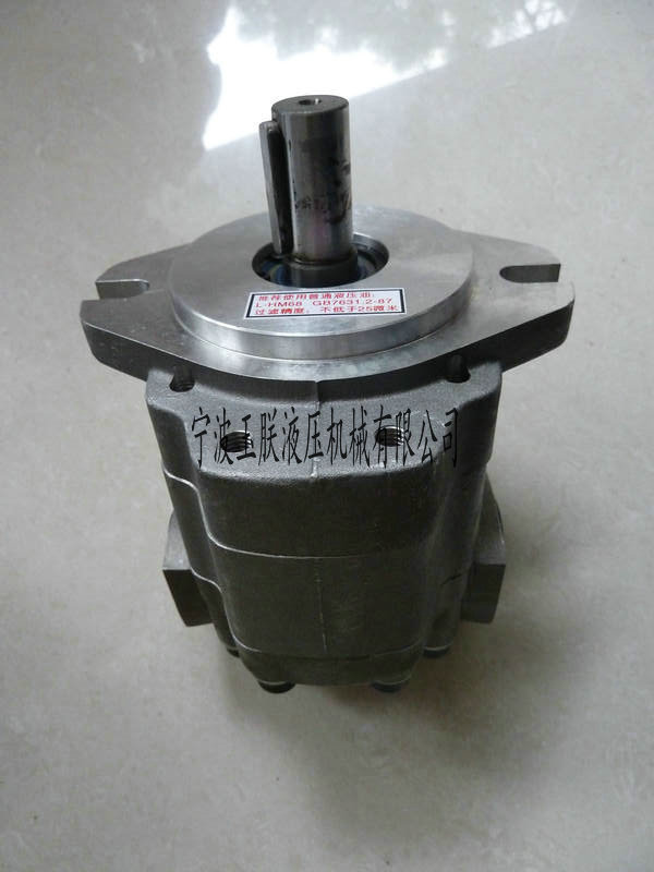 供应玉朕液压高速风机马达 齿轮马达 齿轮泵