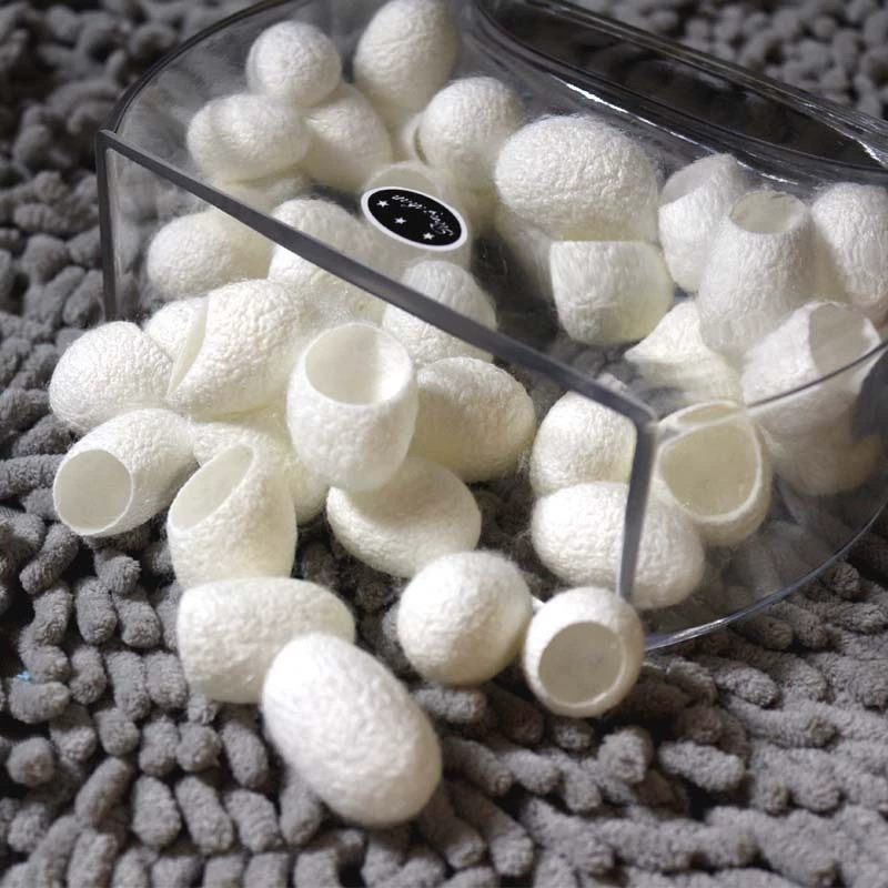 A6 высокое качество красота Очищение лица резка тутового кокона Открытие оболочки Шелкового шара без шелкопряда куколки тутового шелкопряда оптом в наличии