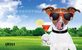 ，价格，批发，3d卡片厂家选择上誉印刷pet胶