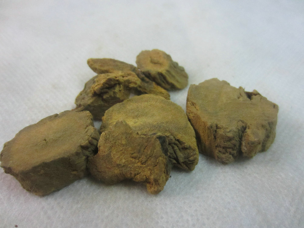 供应大黄 大黄片 山大黄 大货-阿里巴巴