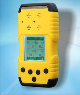 DSK1500便携式氧气检测仪