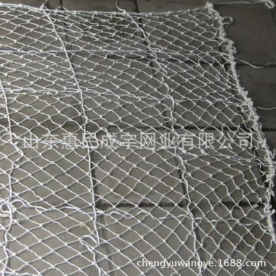 Nylon anti falling net Fence Decorative net customized Architecture site safety Architecture Fence Anquan Ping network