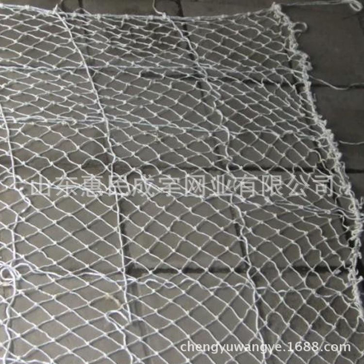 Nylon anti falling net Fence Decorative net customized Architecture site safety Architecture Fence Anquan Ping network
