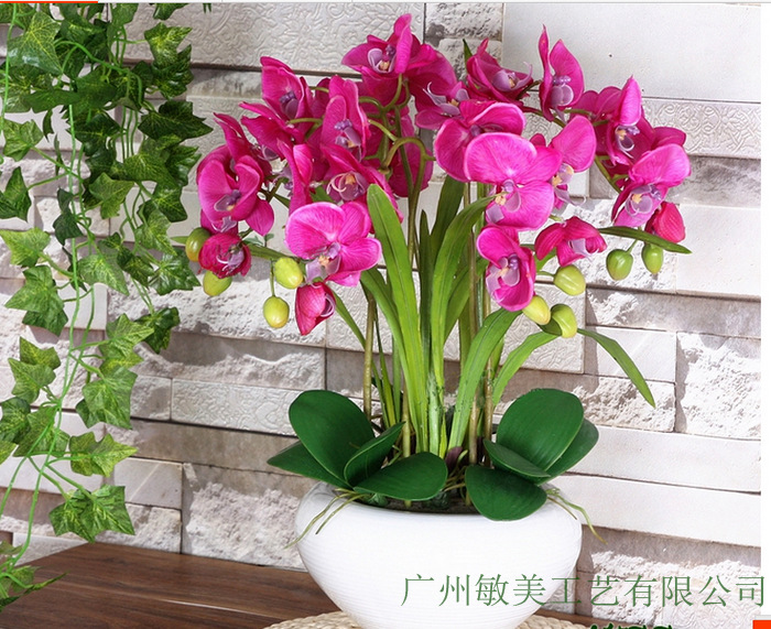 QQ截圖20140516225732