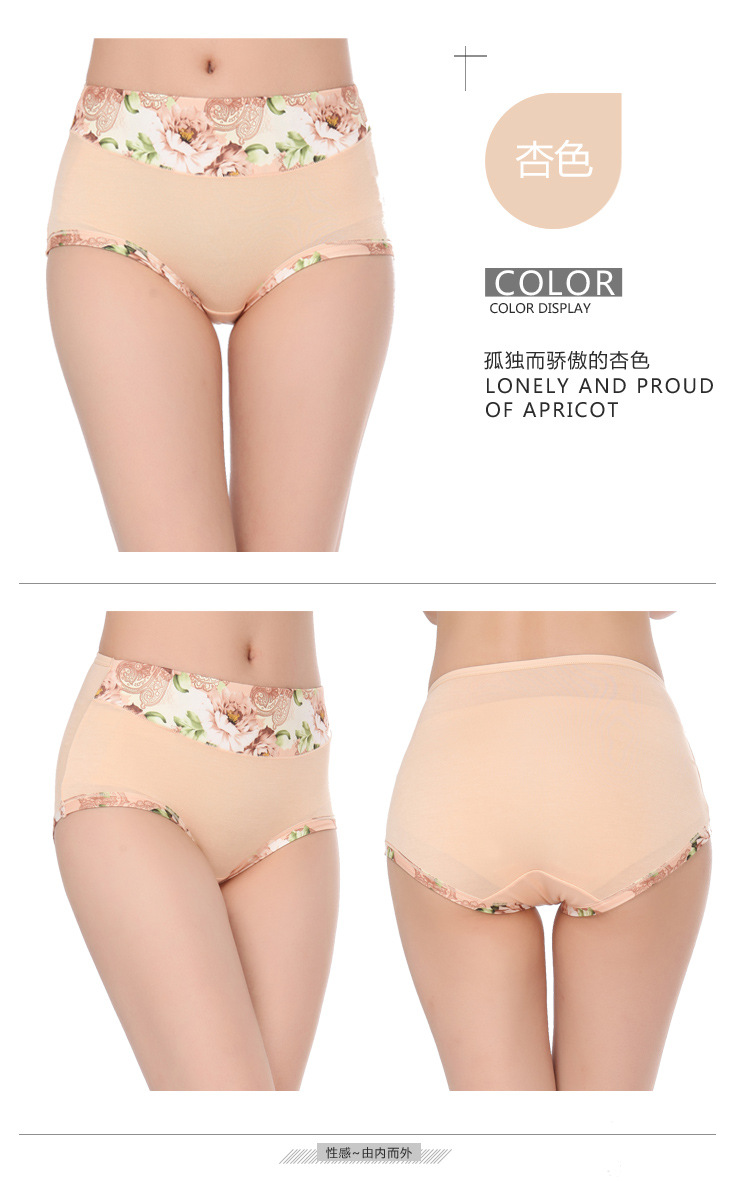 Slip jeunesse en coton - Ref 651448 Image 12