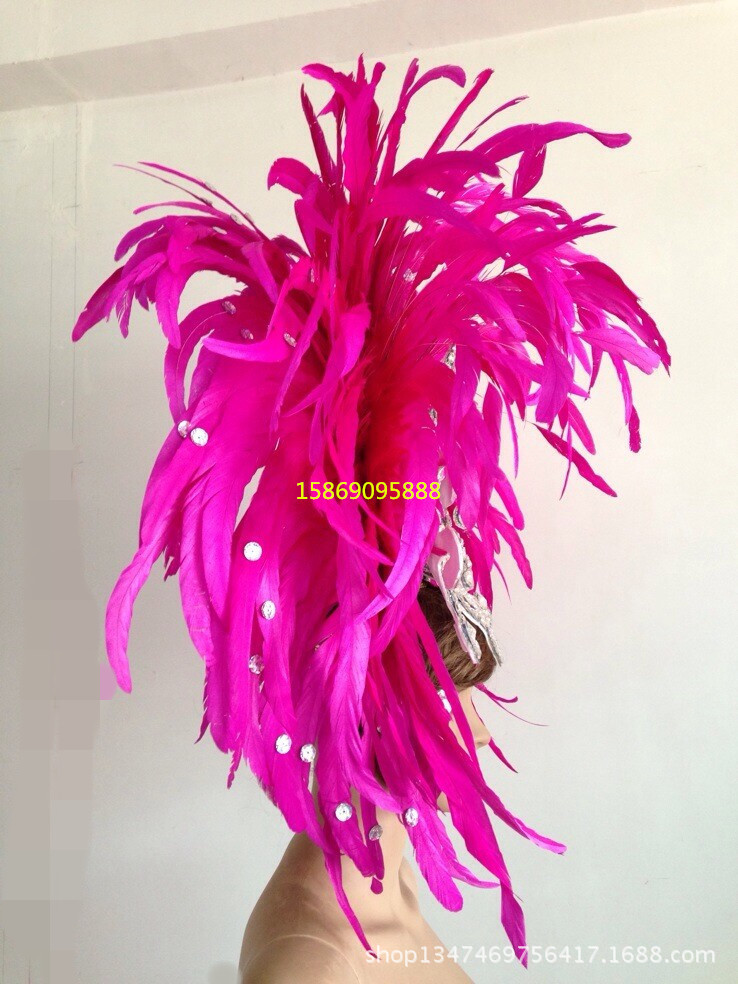舞臺表演羽毛裝飾