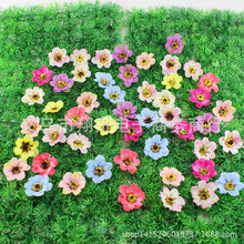 Rd羳滨Сr̫ꖻc͏db˹ռٻinsLb