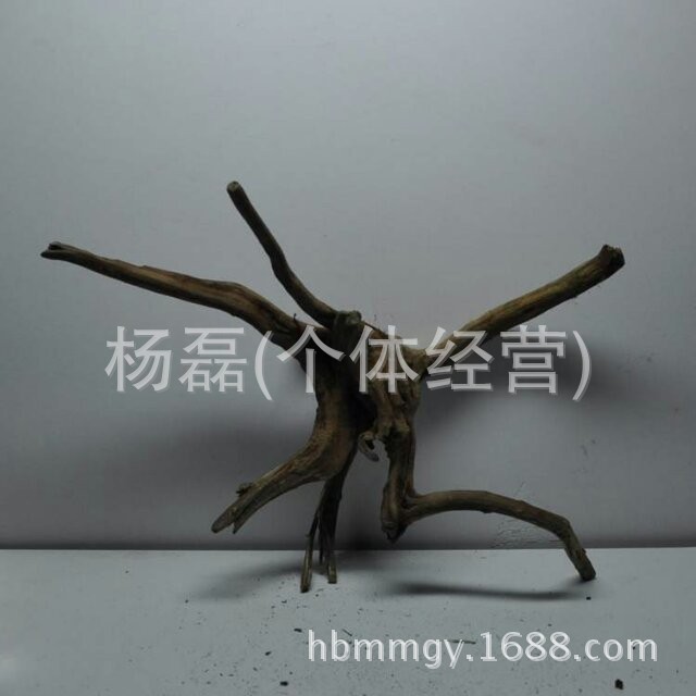 QQ圖片20140524191820