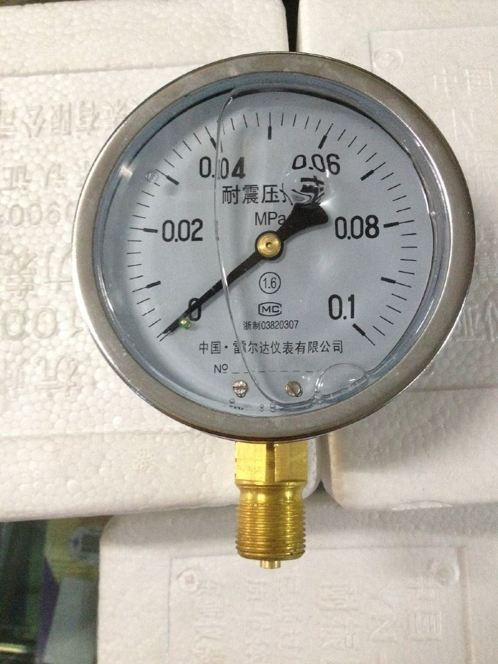 雷尔达耐震压力表 YN100 0.1MPA 0.25 0.6 1 1.6 2.5 4 6 10MPA