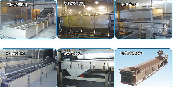速冻香菇前处理加工生产线