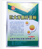 批发巨大芽胞杆菌粉  分解难溶的磷