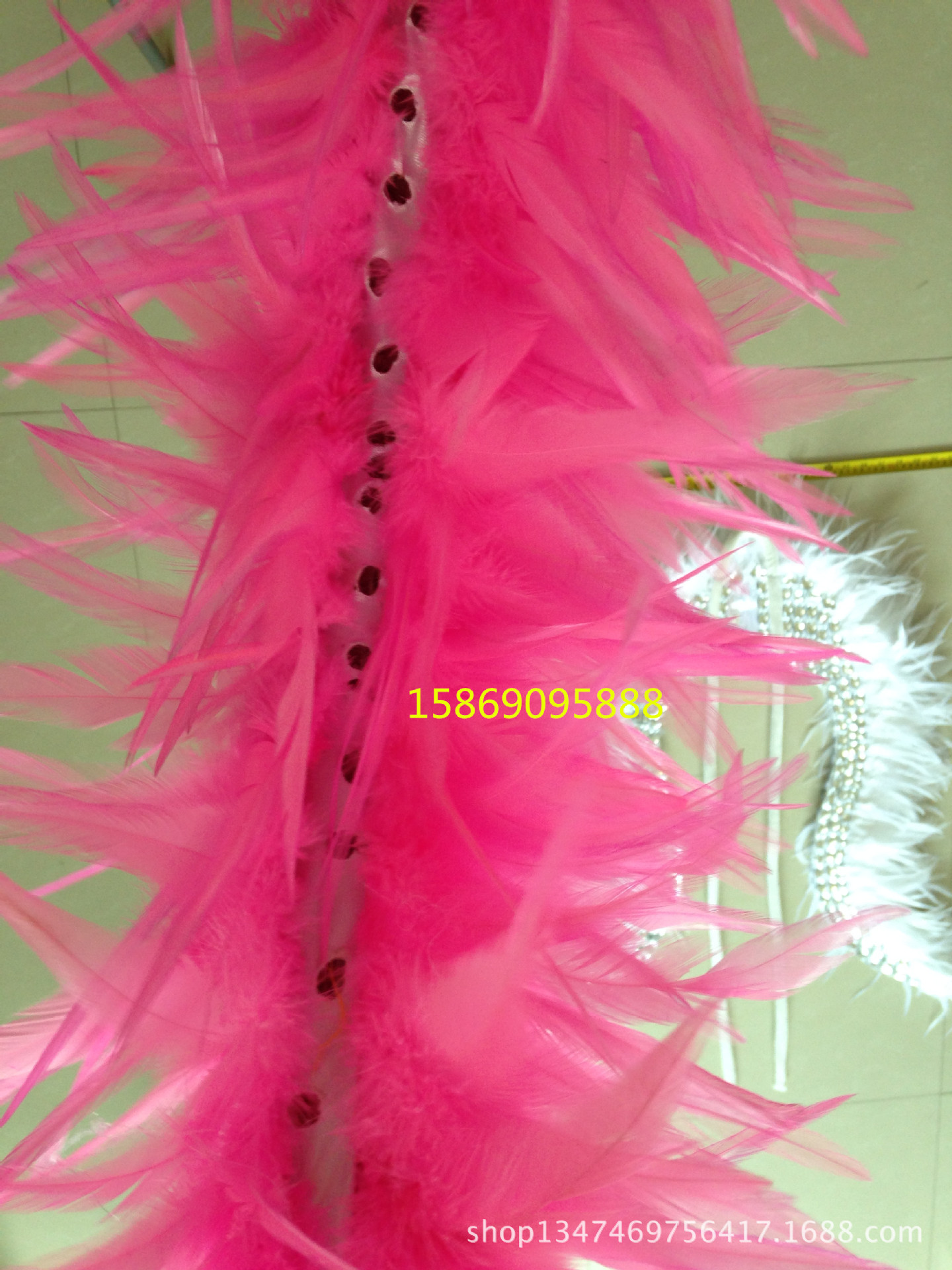 演出羽毛裝飾服裝