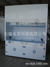 江西·南昌地区/成霖PP通风柜/实验室设备/厂家可定制各种样式
