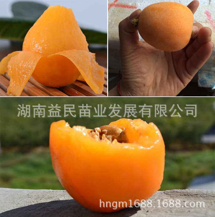 1386552185_1158858389_副本