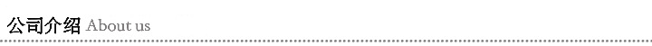 公司介紹