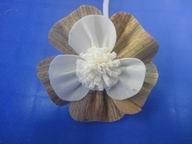 �pƬ��ș����ͨ�ݻ�,��޹�ٗl��ˇƷ���Ҿ��b�Ʒ��sola flower