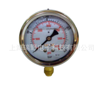 上海瑞野 防震压力表(充甘油) CPG