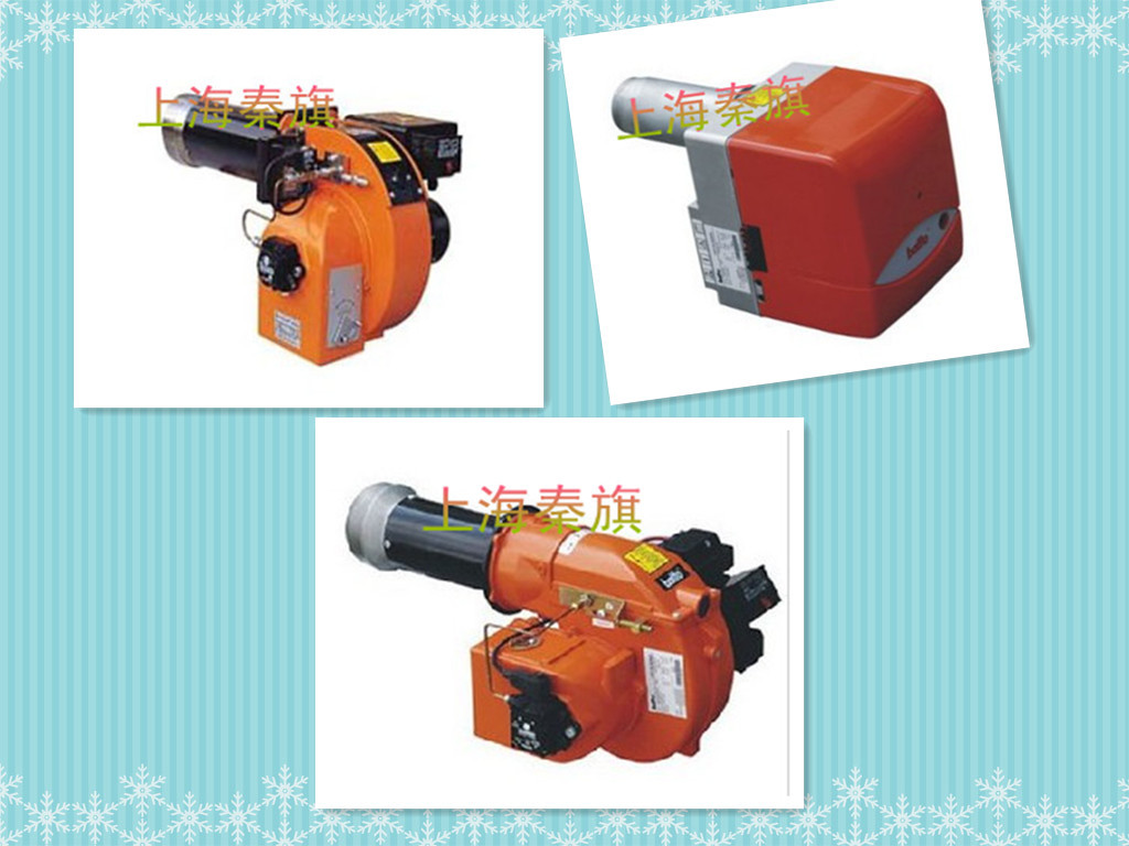 BT10LF BT14LF BT14LFW BT26LF BT35LF BT34LF BT40LFBaite燃烧机