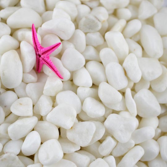 1公斤天然抛光奶白色石头 园艺用鱼缸地台婚礼铺地台装饰花卉用|ru