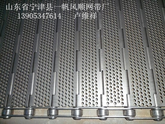 链板-清洗机烘干机专用-33