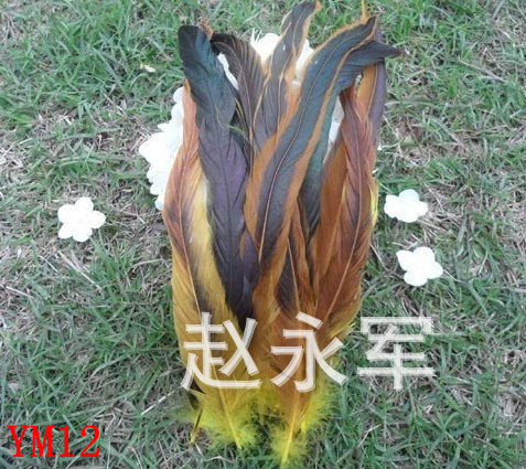 T2jnSAXgdXXXXXXXXX_!!159697808