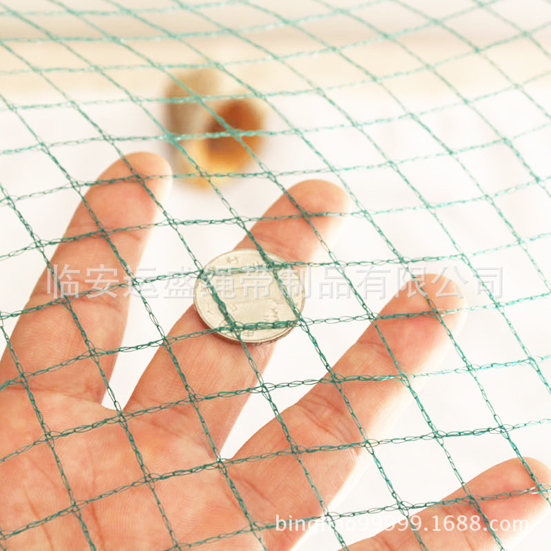 运盛绳带 供应防鸟网防虫葡萄水果果园防护网