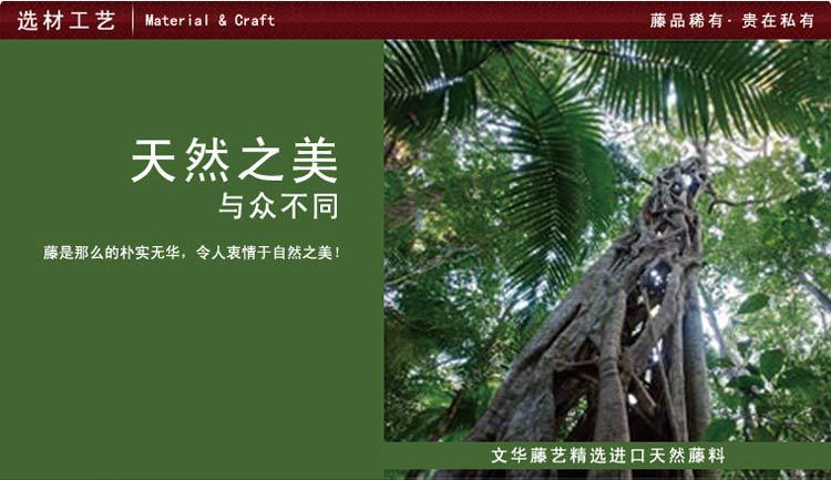 T2vyZmXlRbXXXXXXXX_!!196514144