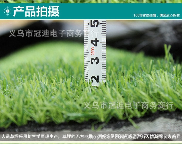 804加密春草2cm_05