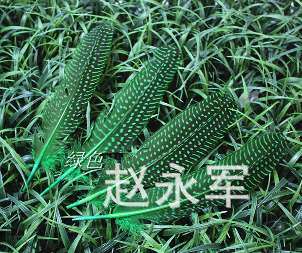 T2iTPKXapaXXXXXXXX_!!159697808