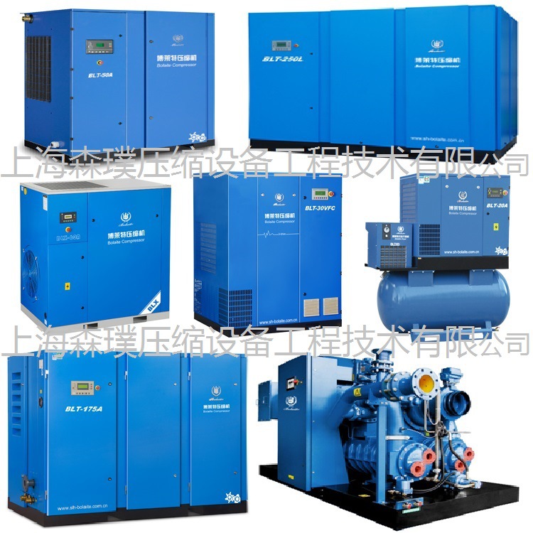 博莱特空压机 (1)