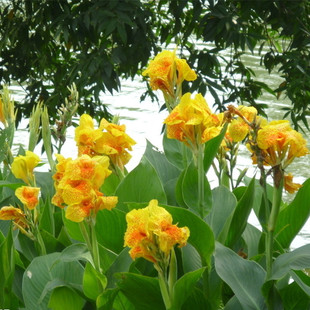 ֱN S˽ ˮ˽ ˮw ˮ ˽N