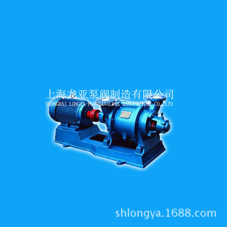 SK-0.4抗腐蚀真空泵 SK-60水环式真空泵 SK-42防爆真空泵
