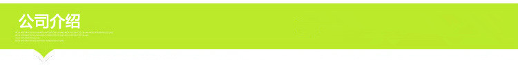 公司介绍
